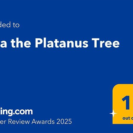 Villa The Platanus Tree Kato Vasiliki Dış mekan fotoğraf