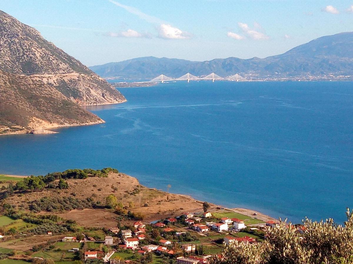 Villa The Platanus Tree Kato Vasiliki Dış mekan fotoğraf