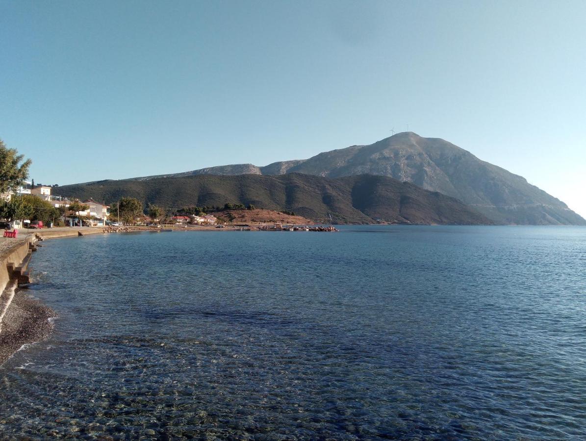Villa The Platanus Tree Kato Vasiliki Dış mekan fotoğraf
