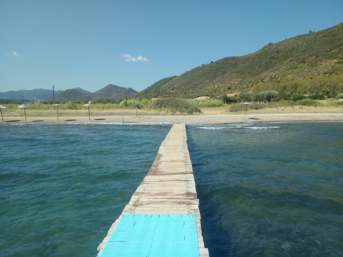 Villa The Platanus Tree Kato Vasiliki Dış mekan fotoğraf