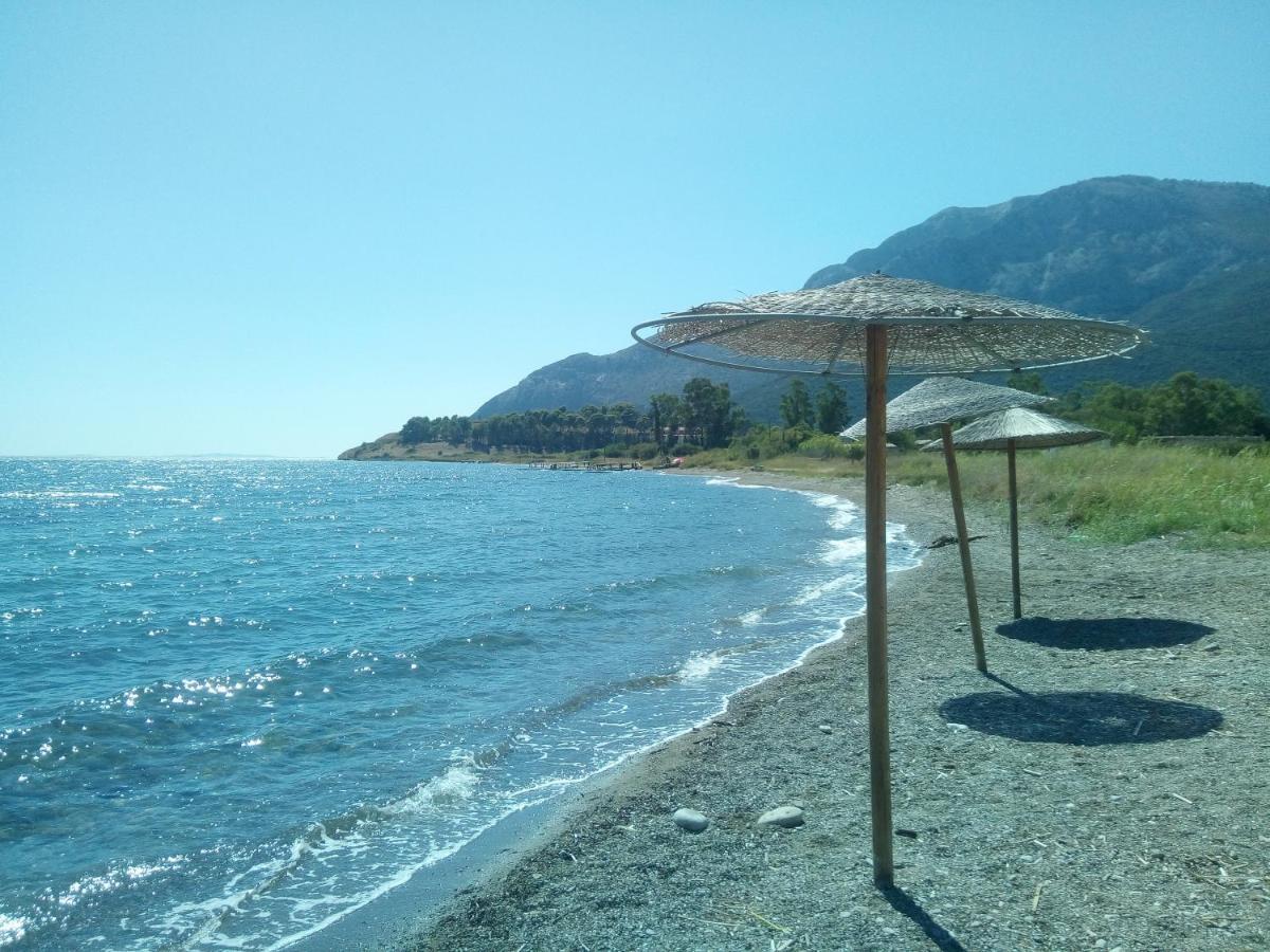 Villa The Platanus Tree Kato Vasiliki Dış mekan fotoğraf
