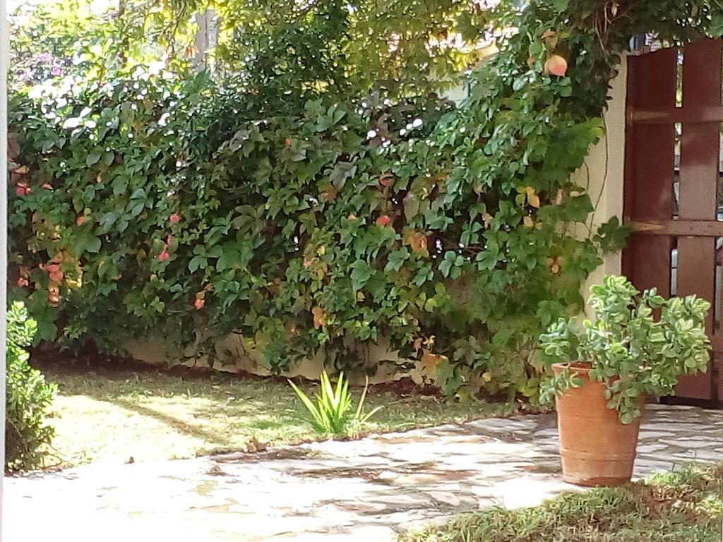 Villa The Platanus Tree Kato Vasiliki Dış mekan fotoğraf