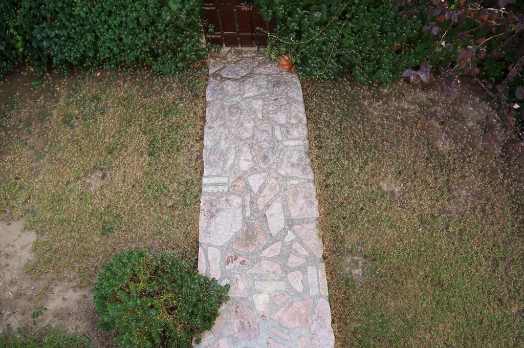 Villa The Platanus Tree Kato Vasiliki Dış mekan fotoğraf