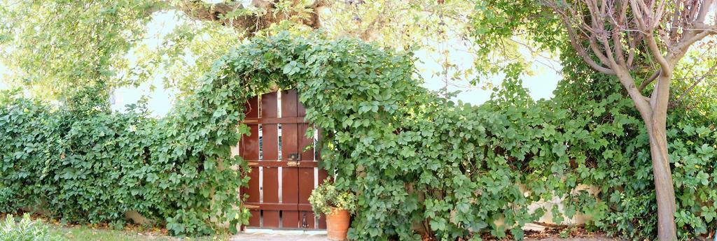 Villa The Platanus Tree Kato Vasiliki Dış mekan fotoğraf