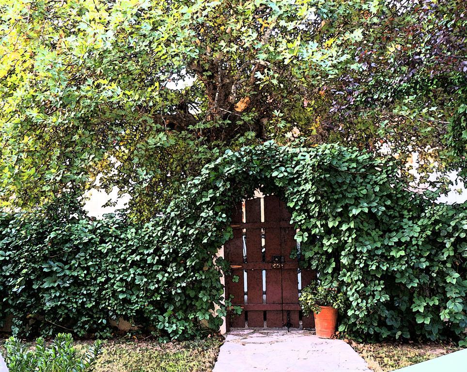 Villa The Platanus Tree Kato Vasiliki Dış mekan fotoğraf