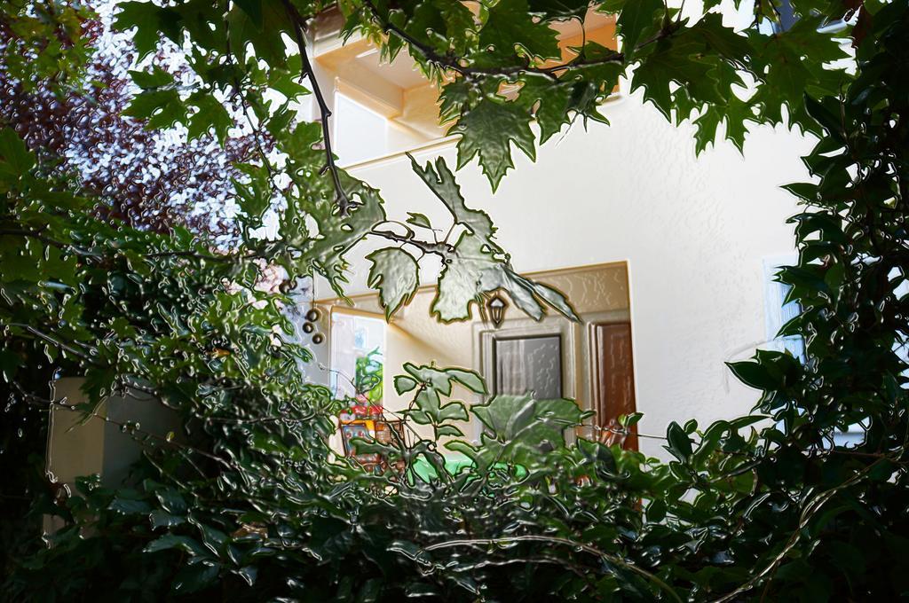 Villa The Platanus Tree Kato Vasiliki Dış mekan fotoğraf