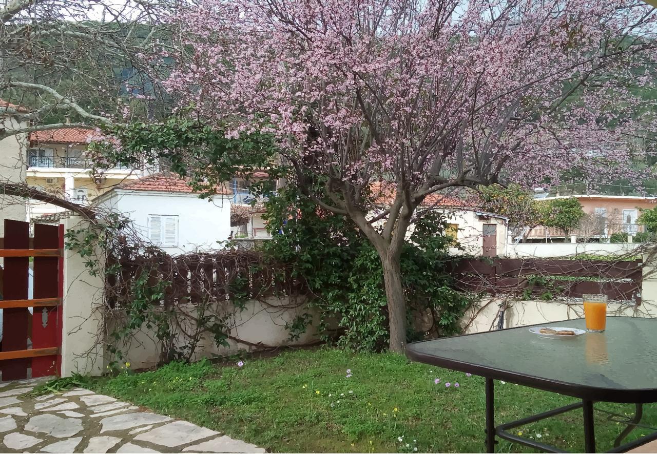 Villa The Platanus Tree Kato Vasiliki Dış mekan fotoğraf