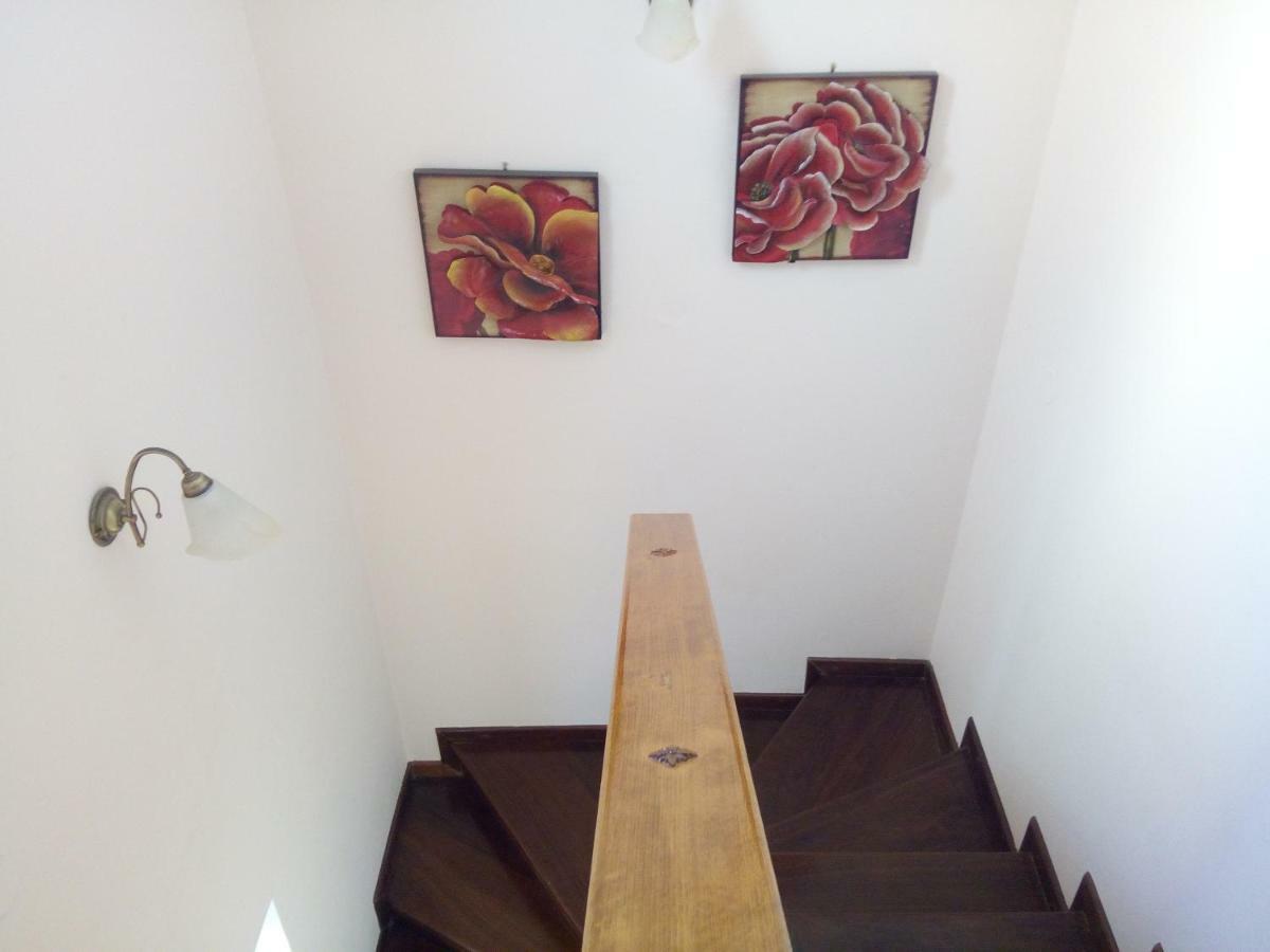 Villa The Platanus Tree Kato Vasiliki Dış mekan fotoğraf